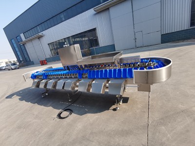 海參稱重分選機